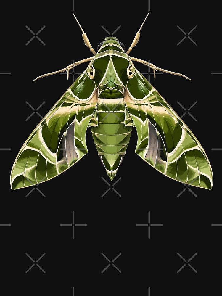 Oleander Hawk Moth Daphnis nerii Anime Style by Harpagann