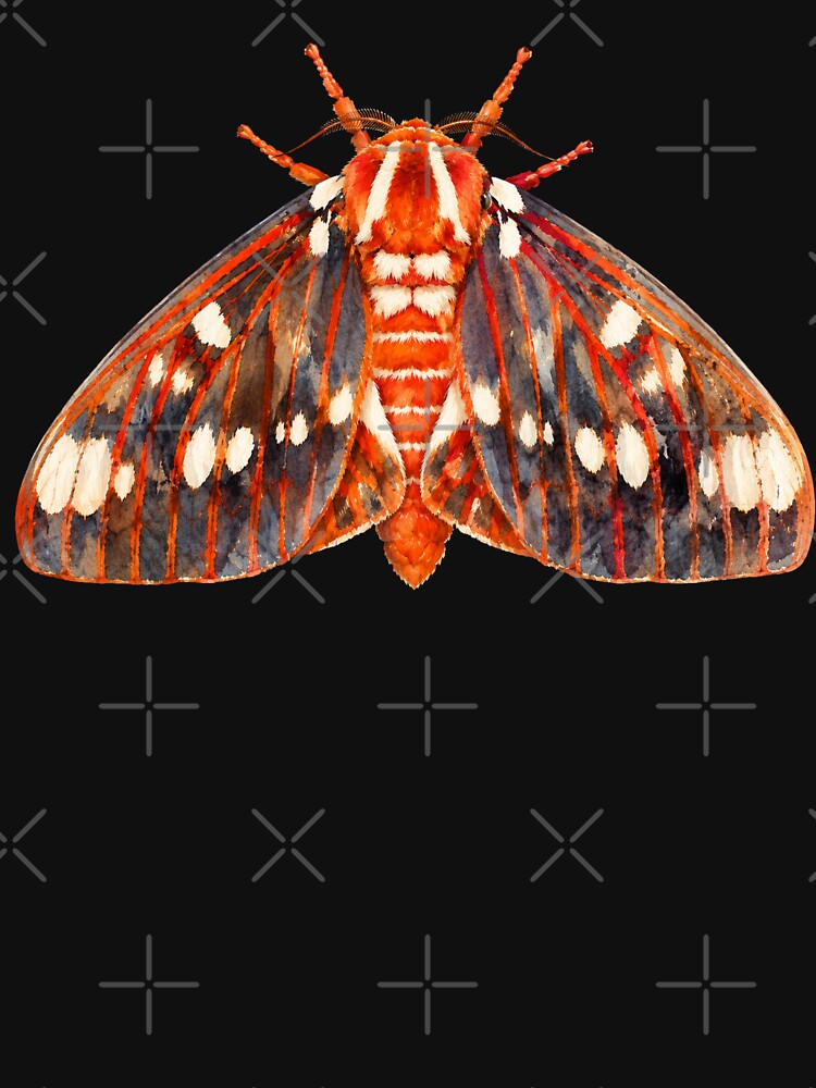 Regal Moth Citheronia regalis Watercolor Style by Harpagann