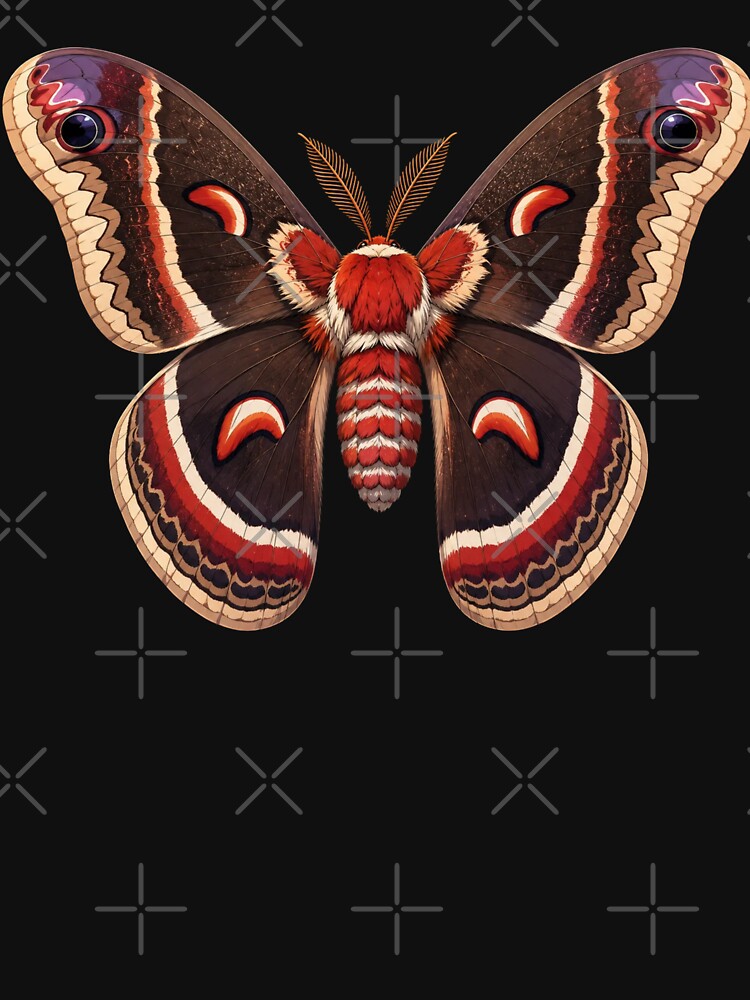 Cecropia Moth Hyalophora cecropia Anime Style by Harpagann