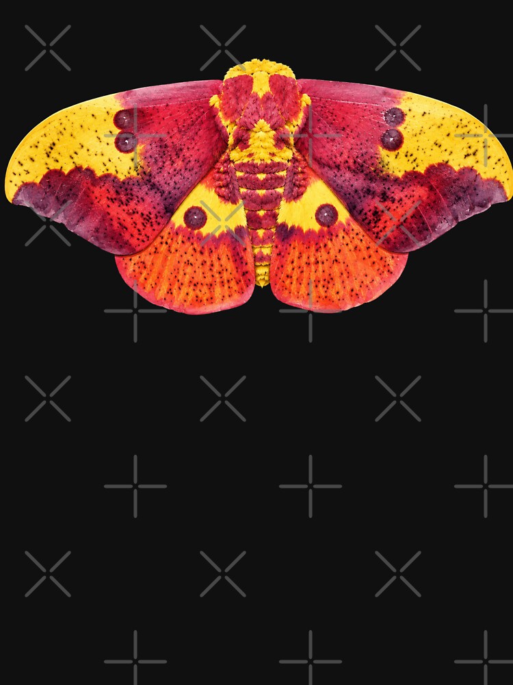 Imperial Moth Eacles imperialis Watercolor Style by Harpagann