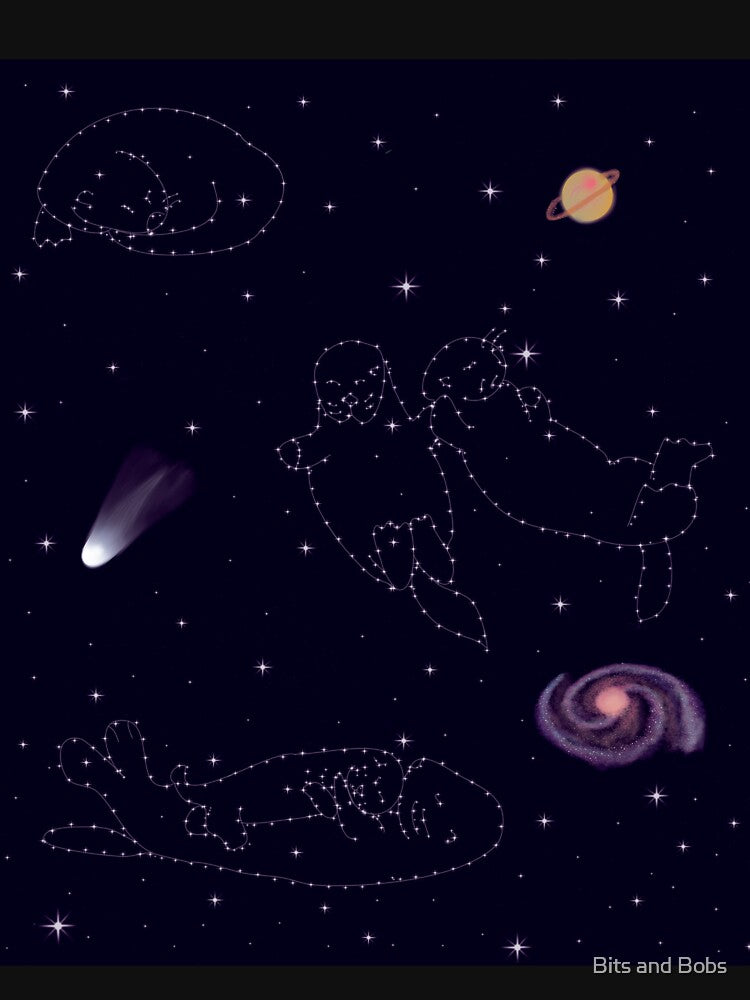 Otter Space by Bits and Bobs