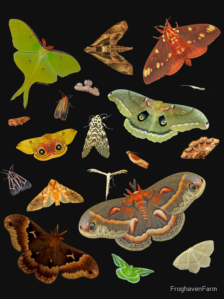Moth Party by FroghavenFarm