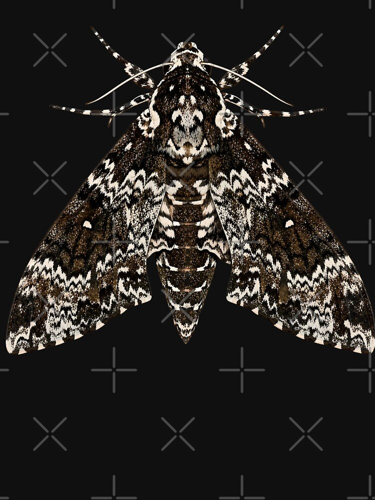 Rustic Sphinx Moth Manduca Rustica Cartoon Style by Harpagann