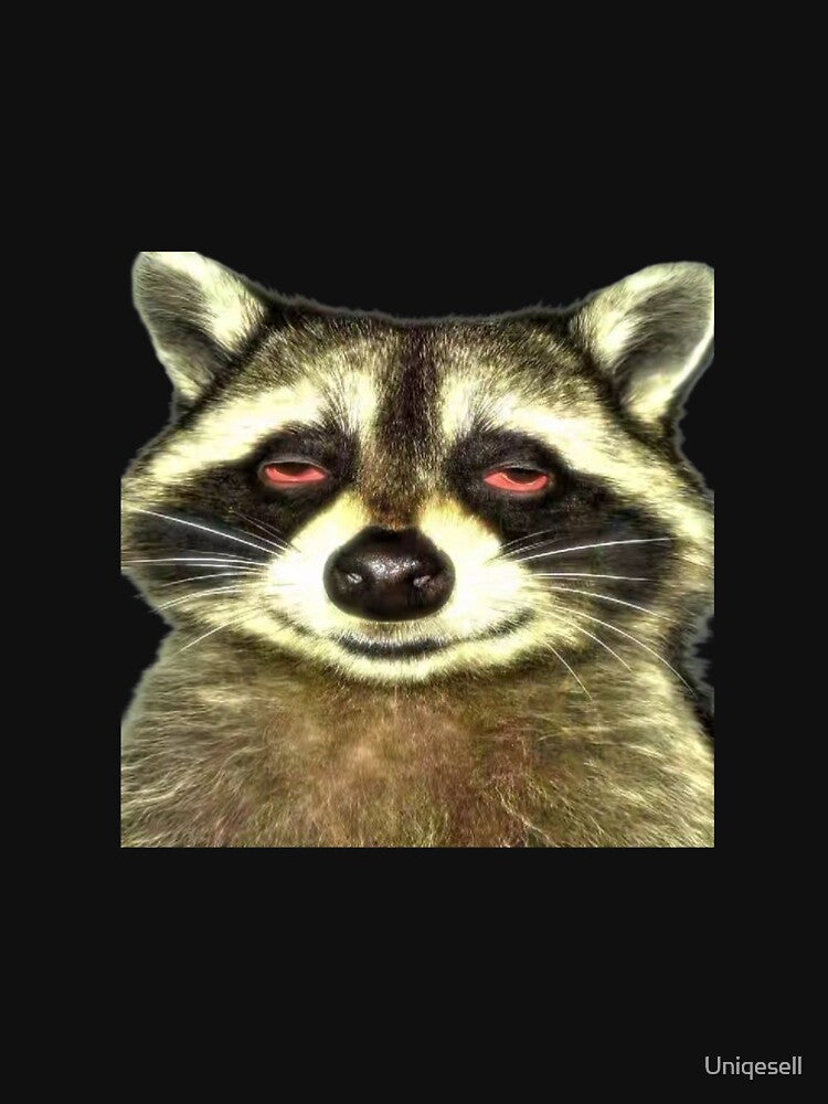jimothy raccoon stoned by Uniqesell