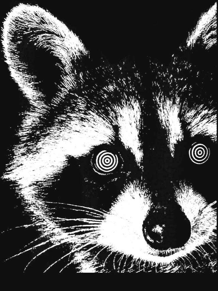Hypnotic Raccoon Trippy Spiral Eyes by WhoopsieWorld