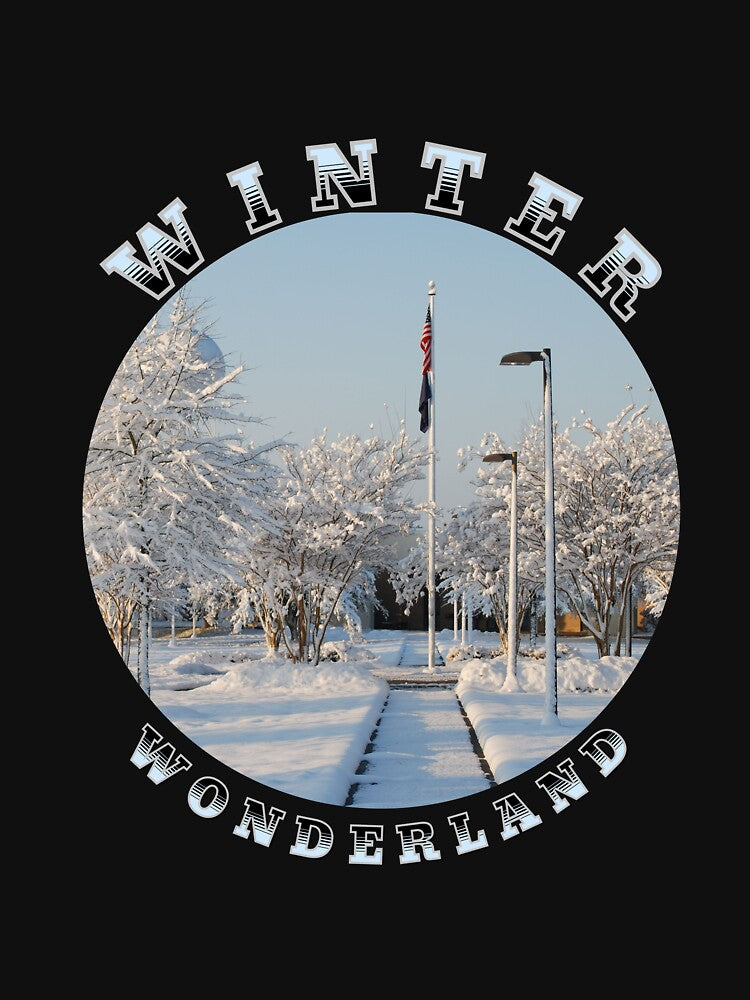 Winter Wonderland by cope64