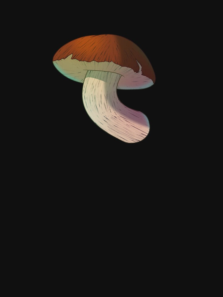 Boletus edulis Bull Mushroom by Algaliar23
