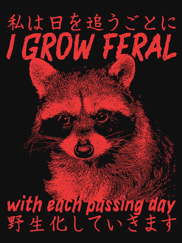I Grow Feral Vintage Japanese Raccoon by VintageMedatsu