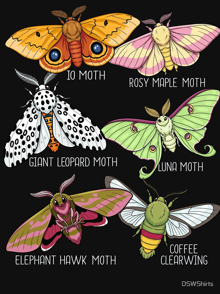 Moth Species Insects Lover Men Moths by DSWShirts
