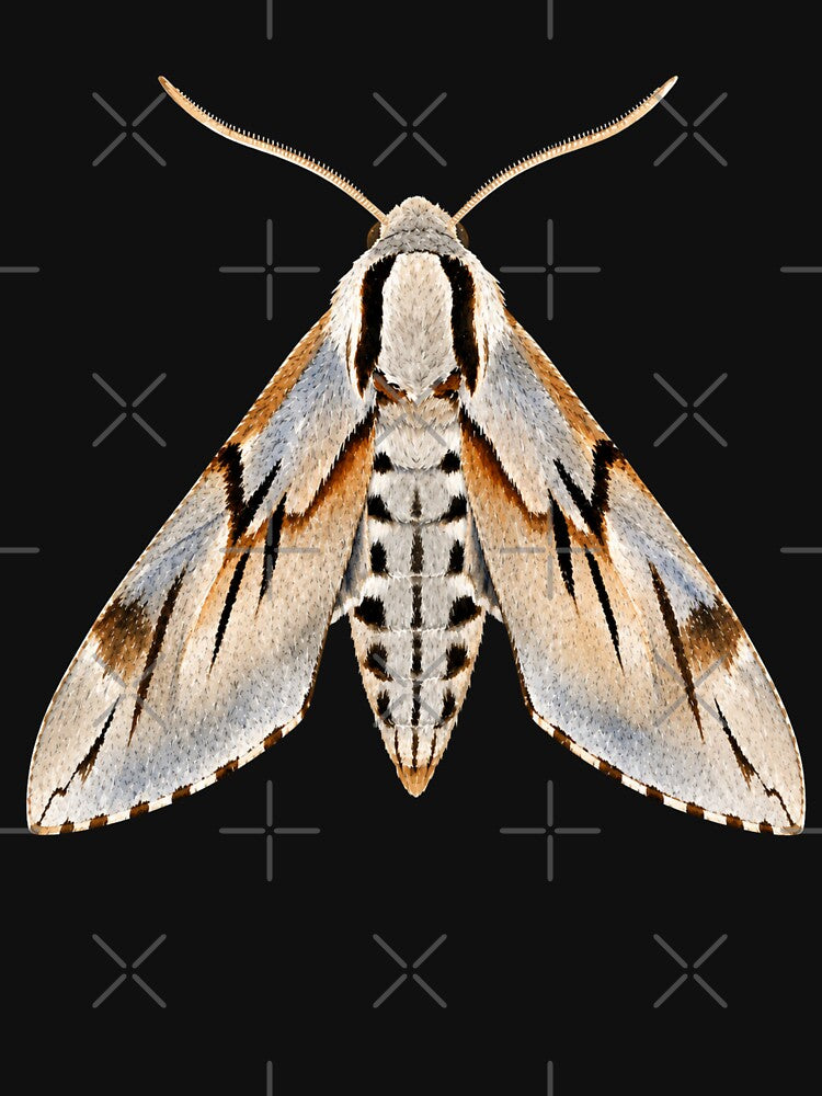 Pine Hawk Moth Sphinx Pinastri Watercolor Style by Harpagann