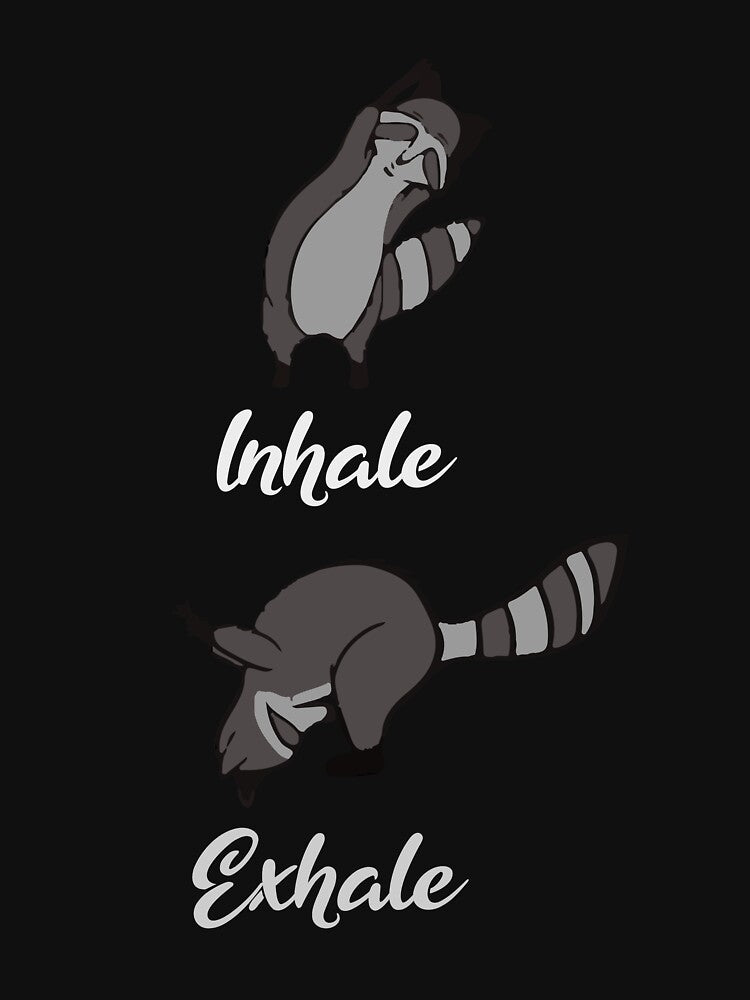 Funny Yoga Raccoon Cute Animal Raccoon Gift by Tee-md93