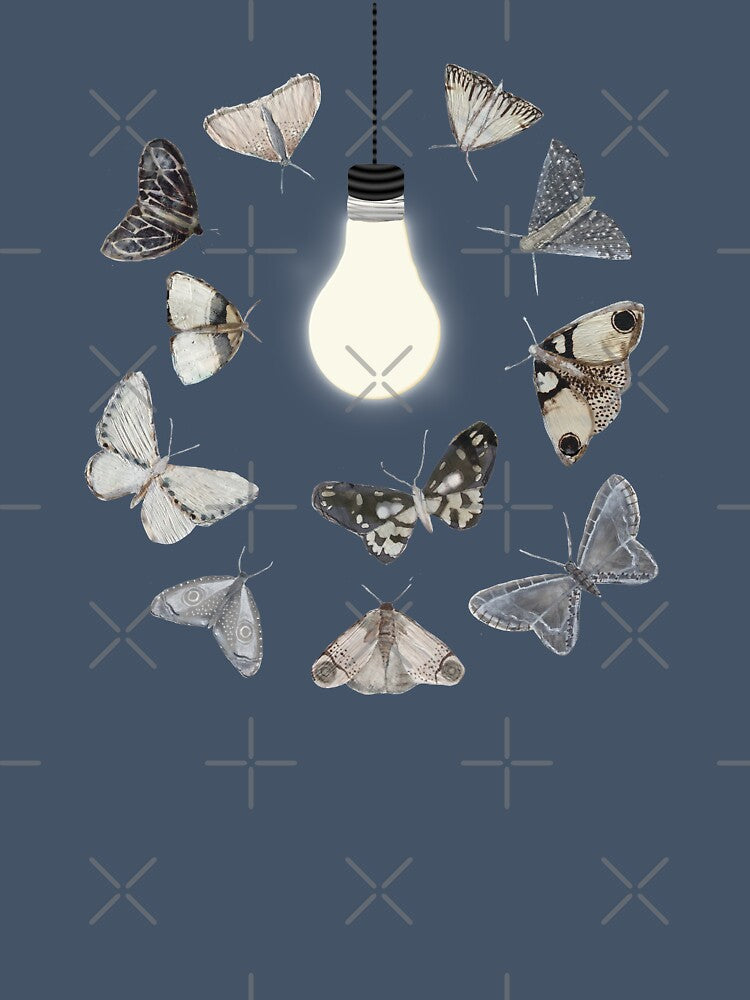 Moths to a Lightbulb by Amy Hadden