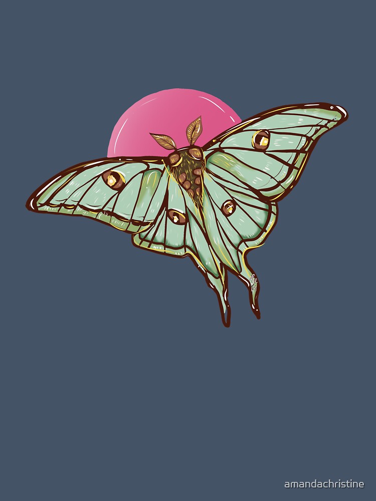Luna Moth by amandachristine