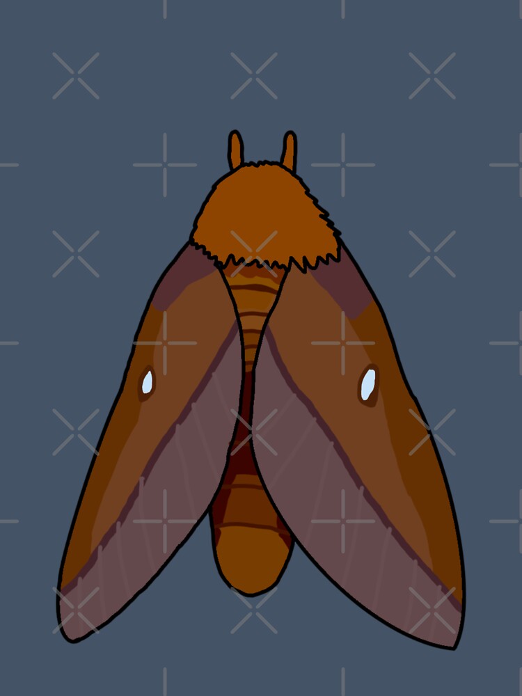 Pink striped Oakworm Moth by Leapingdoe