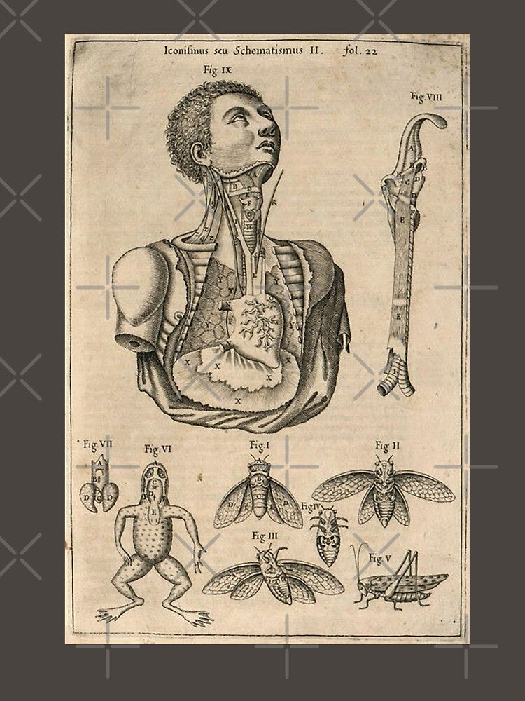 Bizarre VIntage Medical Illustration Dark Art Aesthetic Dark Academia by CattlettArt