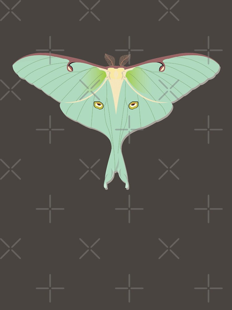 Luna Moth by Miriam Omura
