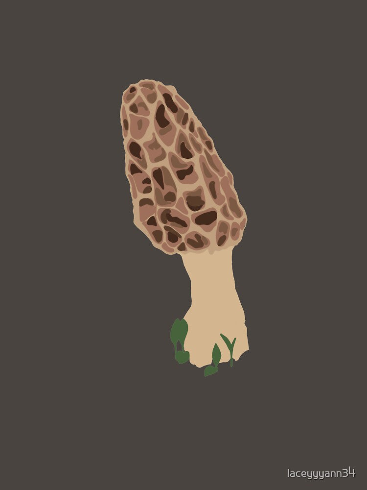 morel mushroom drawing by laceyyyann34