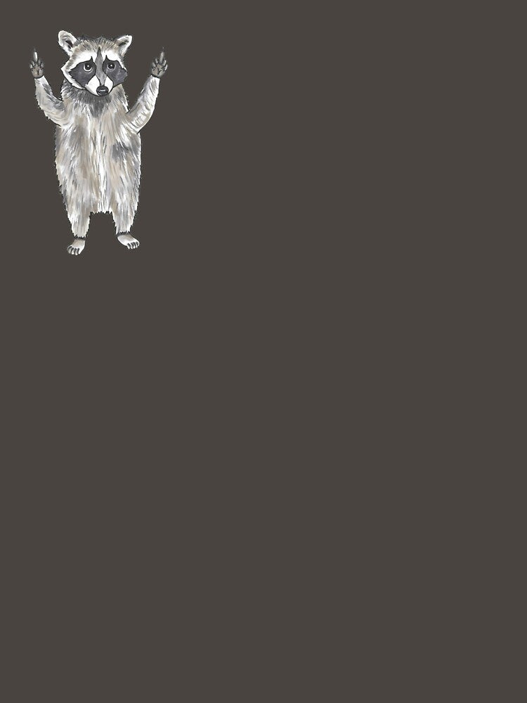 Middle Finger Raccoon Artwork by quirkyburp