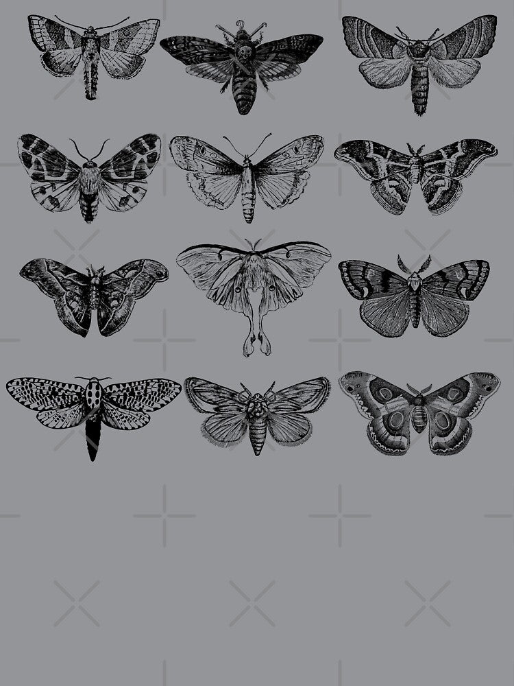 Moth Illustrations by Lylabean22