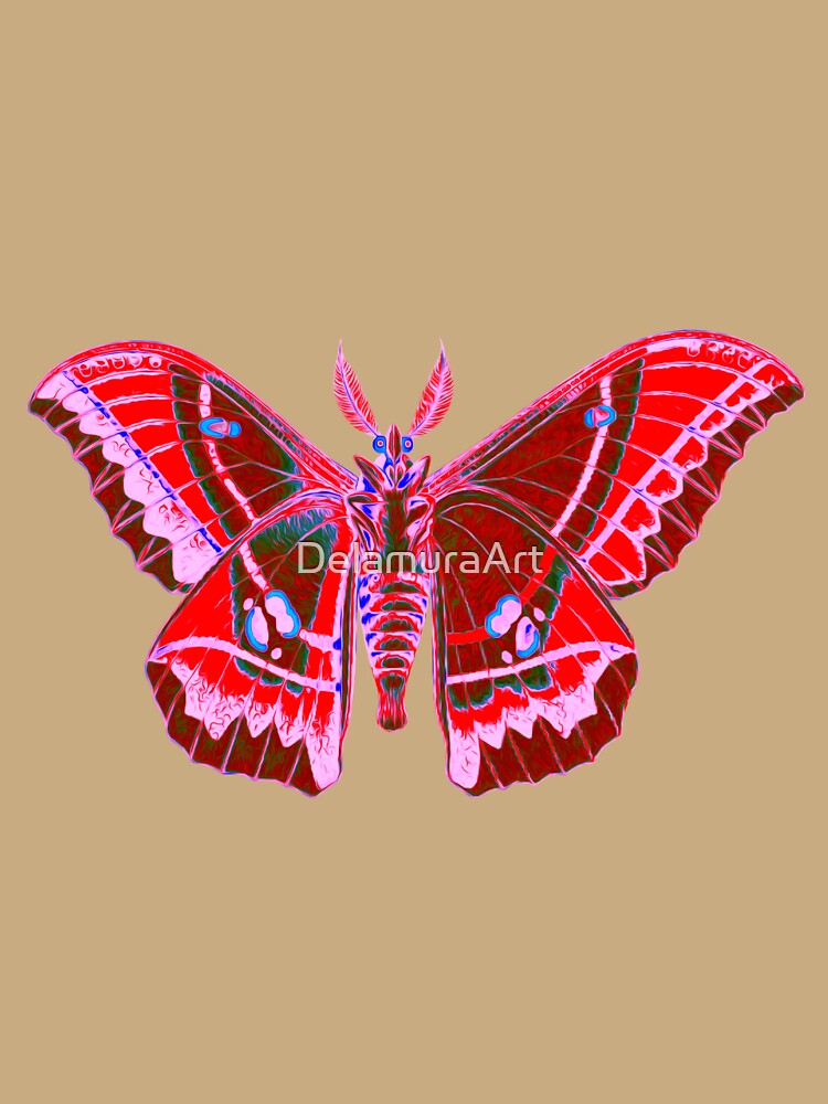 Specimen 009 — Giant Silk Moth — Saturniidae sp. by DelamuraArt