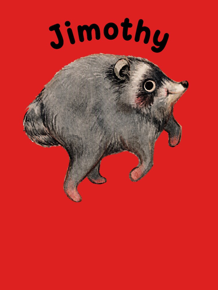 Jimothy Raccoon by bonnieleigh6902