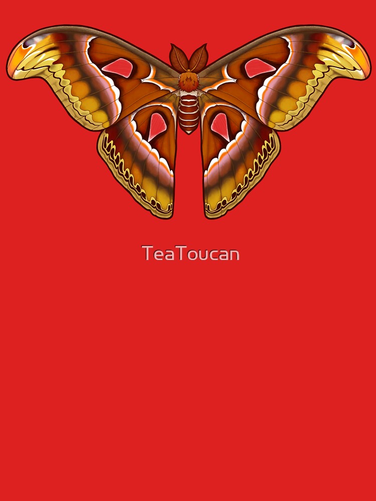 Atlas Moth by TeaToucan
