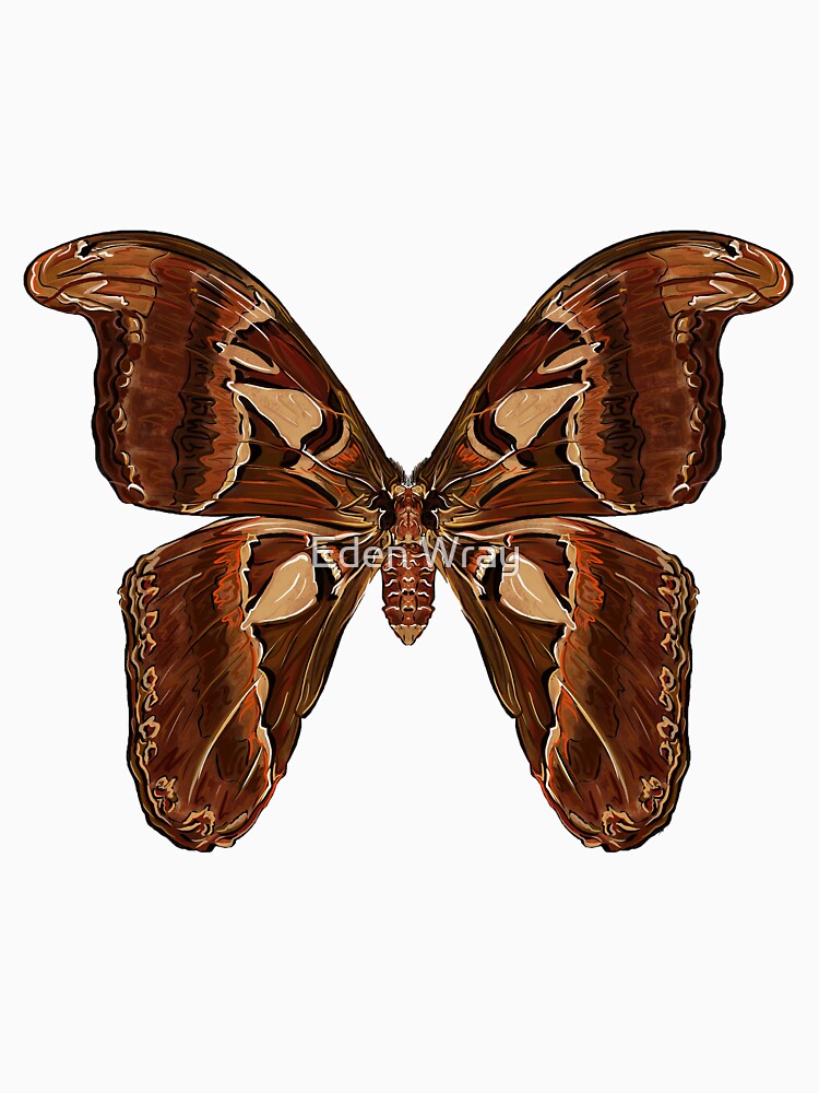 Atlas Moth by EdenWrayArt