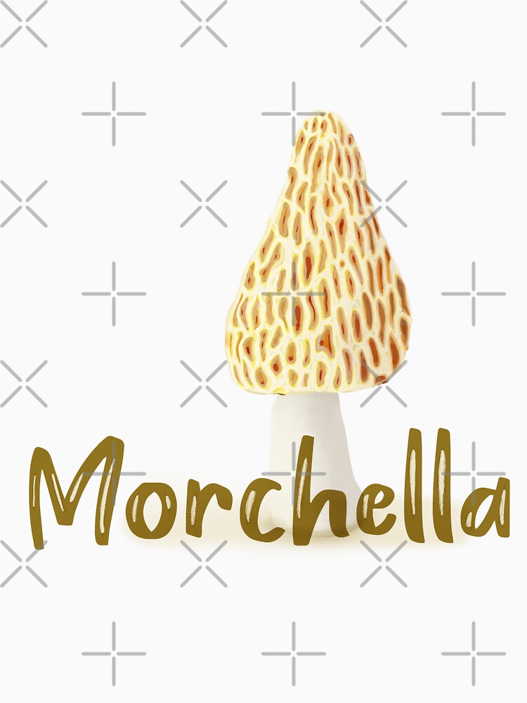 Morel Mushroom Morchella by rhombusOnion