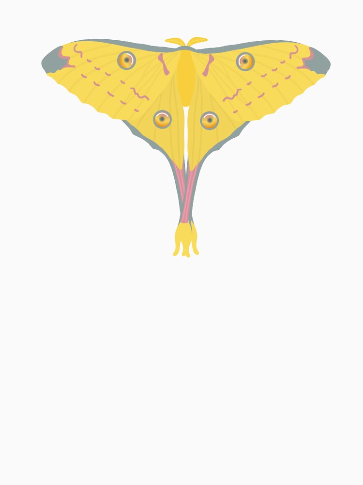 Comet Moth by Alysha Newton