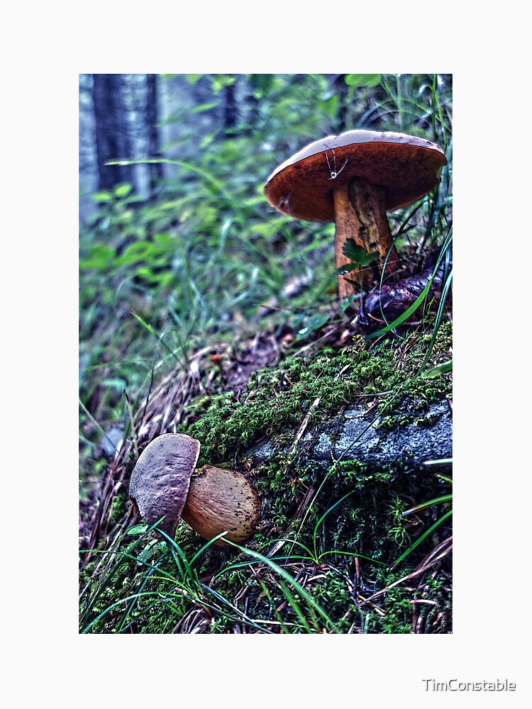 Foraging by TimConstable