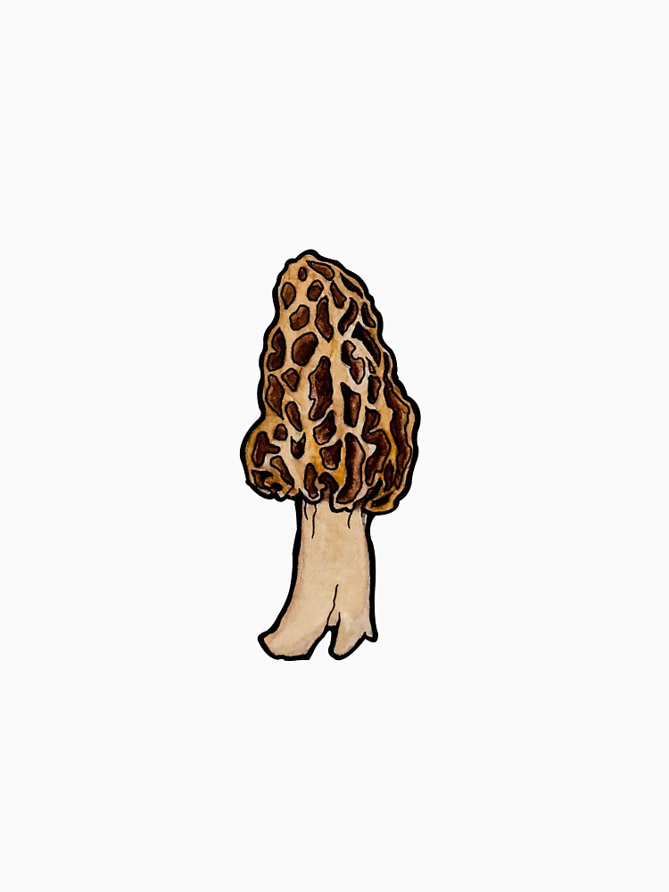 Morel Mushroom by Sylvanbirds