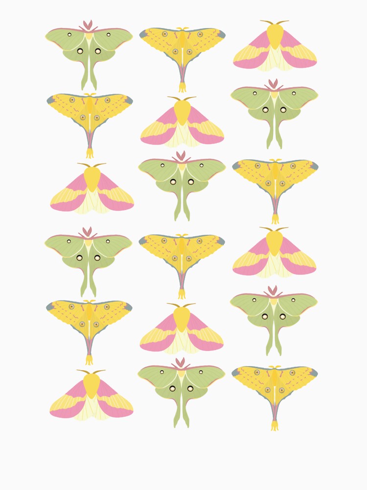 Beautiful Vibrant Moths by Alysha Newton