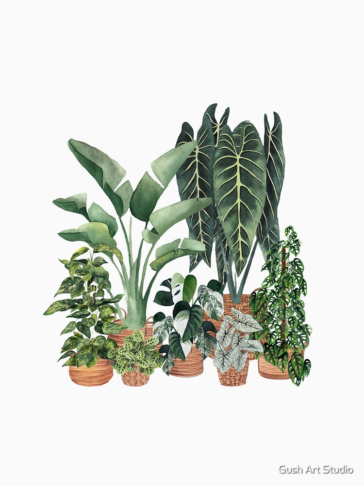 Potted plants art by Ana Moguš