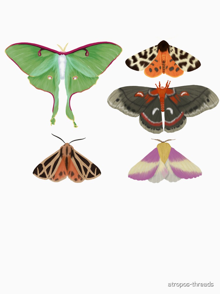 Lepidoptera by Zareth Estefania Art