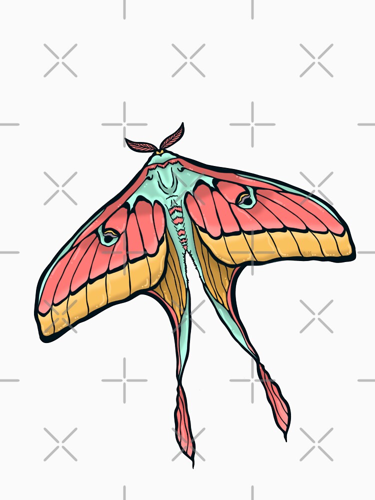 Moth by artbysarana