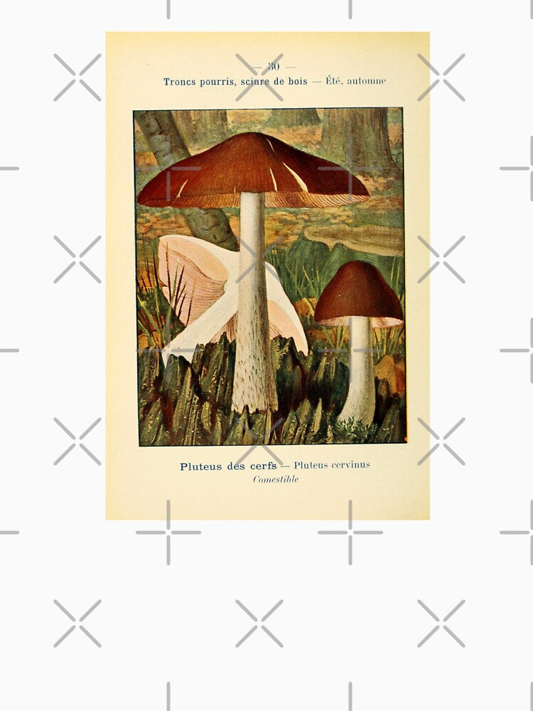 Vintage Illustration Brown and White Mushrooms by bookishneighbor