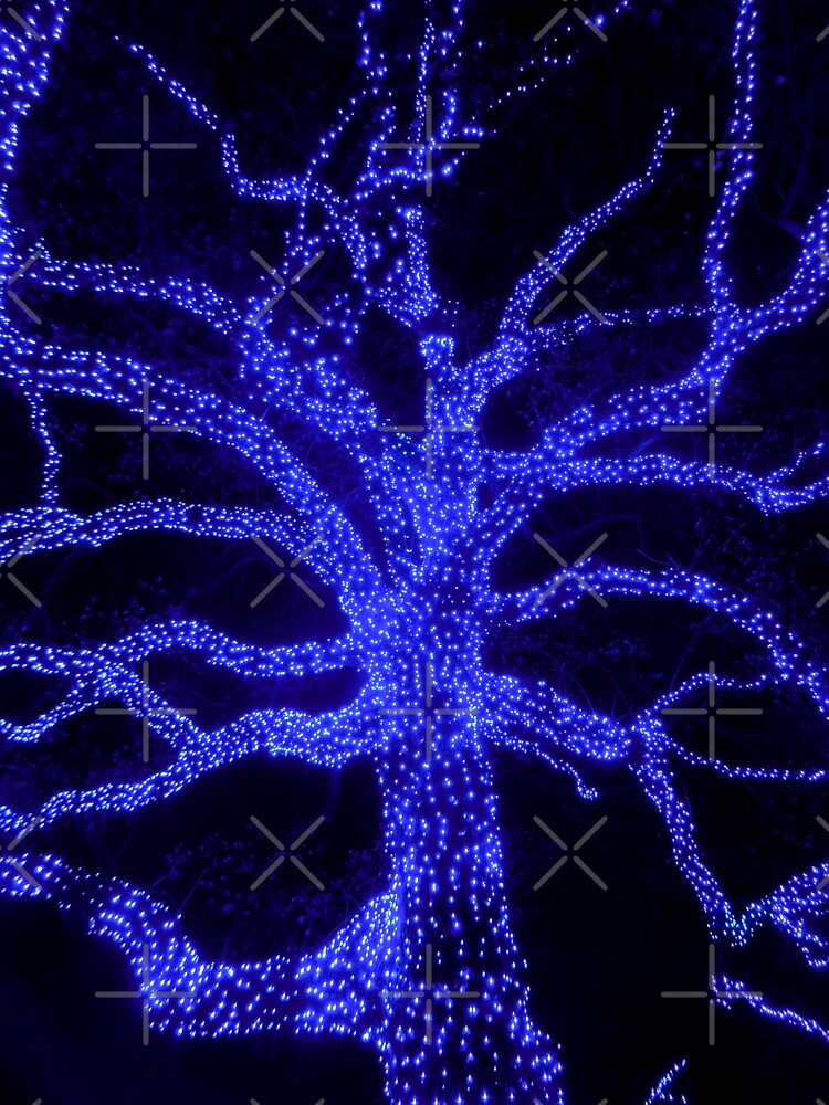 Blue tree lights at MOBot Garden Glow by PowerfulPhotos