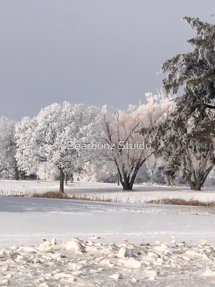 Winter Wonderland by Bearbunz Stuido
