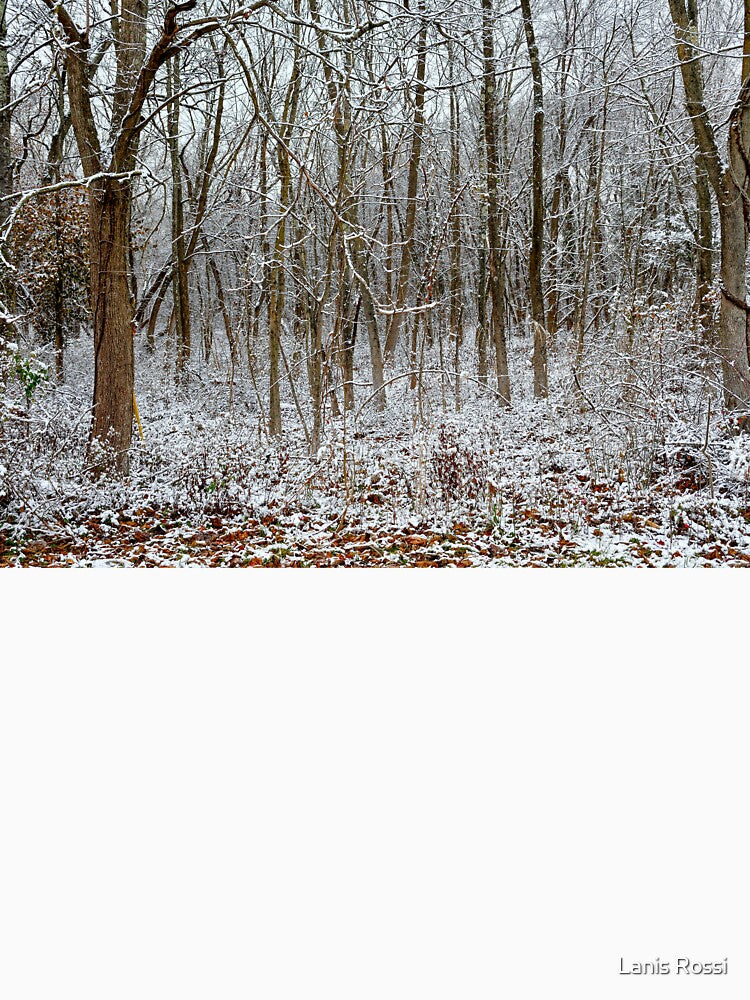 Winter Abstract by Lanis Rossi