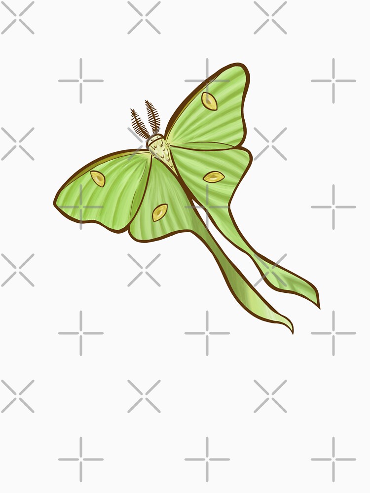 Luna Moth by Phoenix Bell
