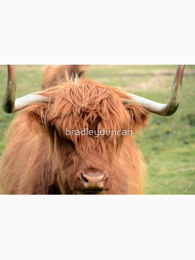 Coo by bradleyduncan