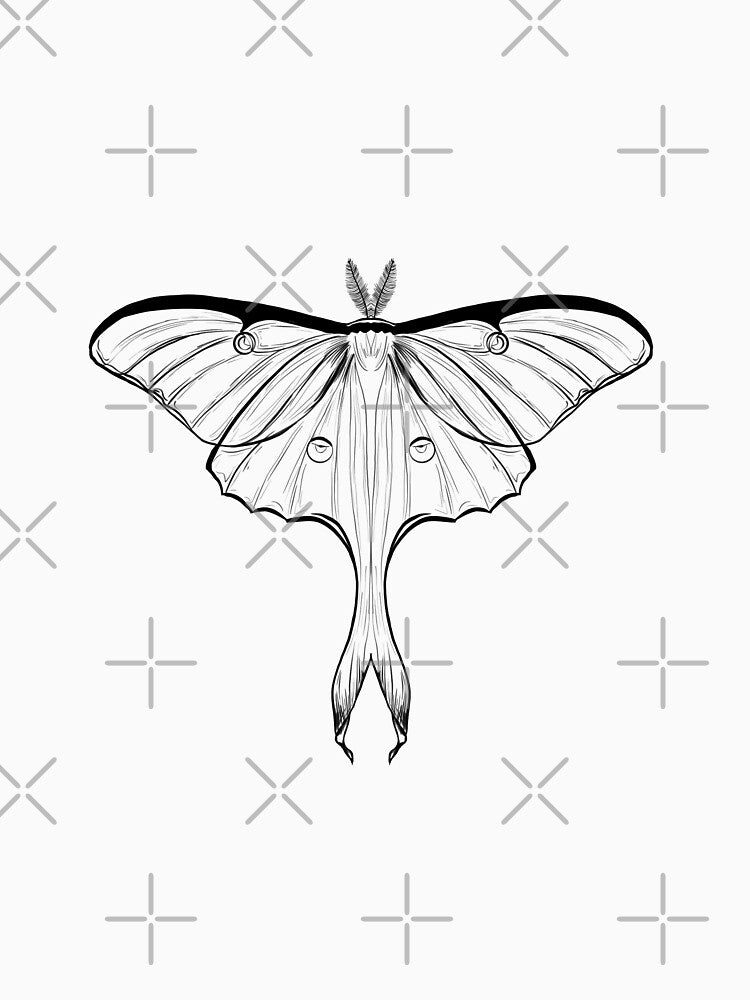Luna moth drawing by AnneCatriona
