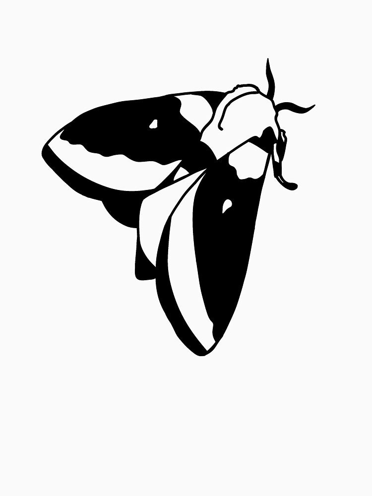 Moth Sketch by Shayla-Michelle