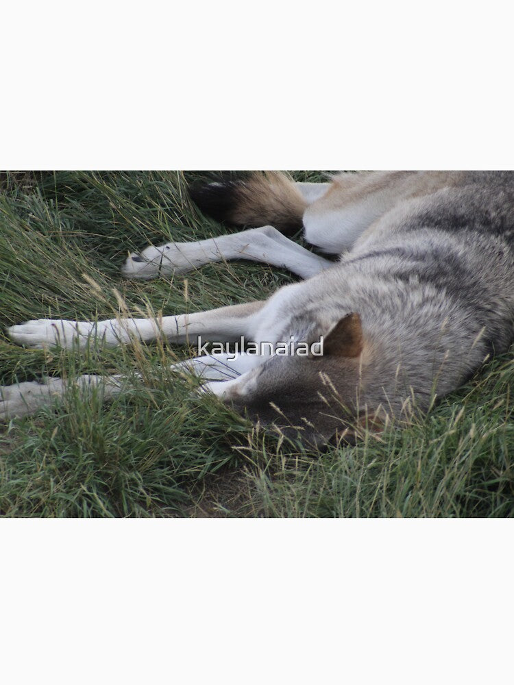 Sleeping Wolf by kaylanaiad