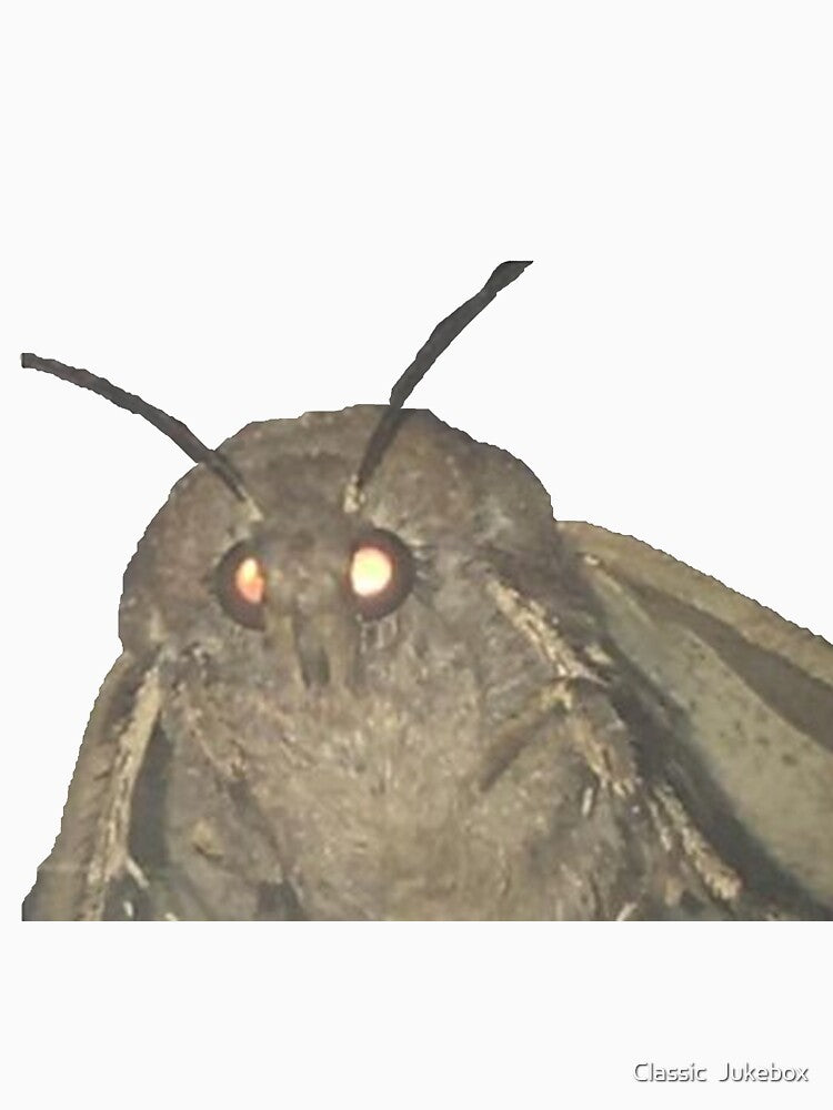 Moth by Classic  Jukebox