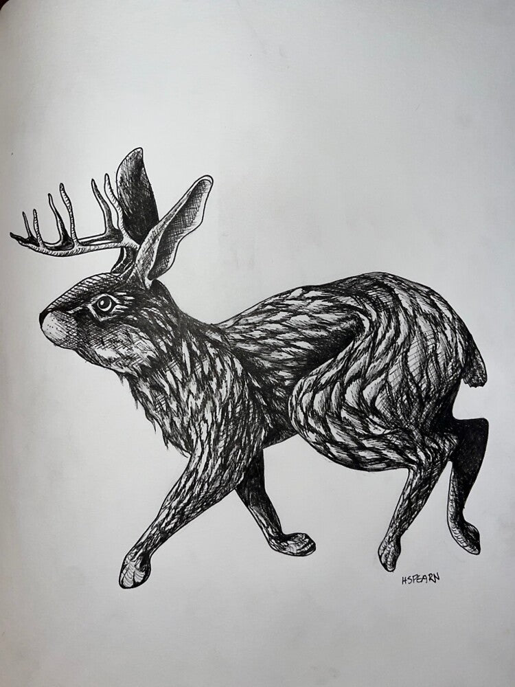 Jackalope by Hailey Spearn