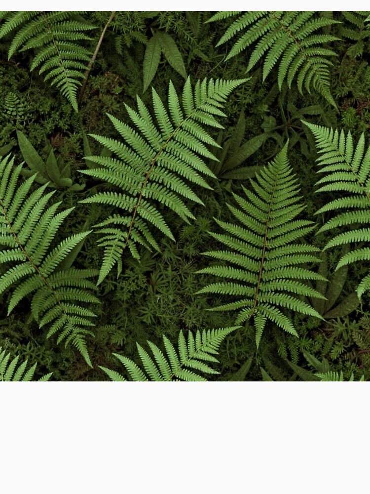 Dark Academia Botanical Fern and Forest Moss by jjagani