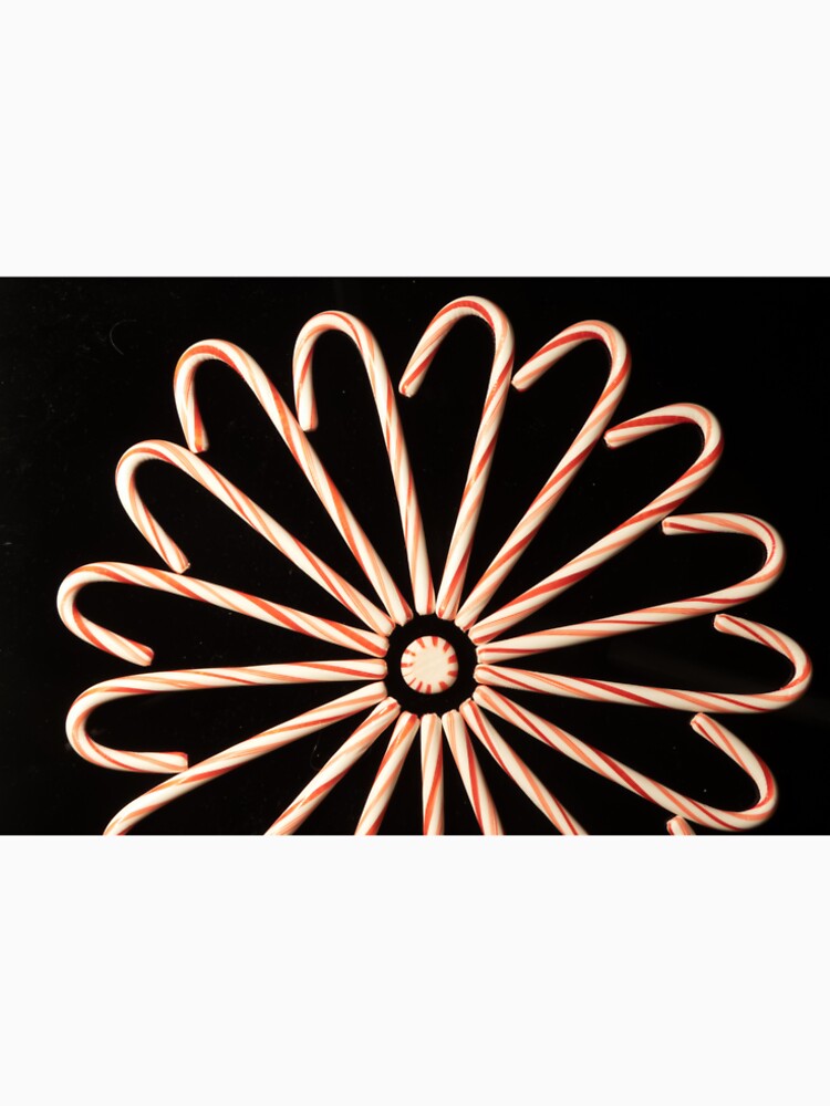 Candy Cane Flower by Roger Easley
