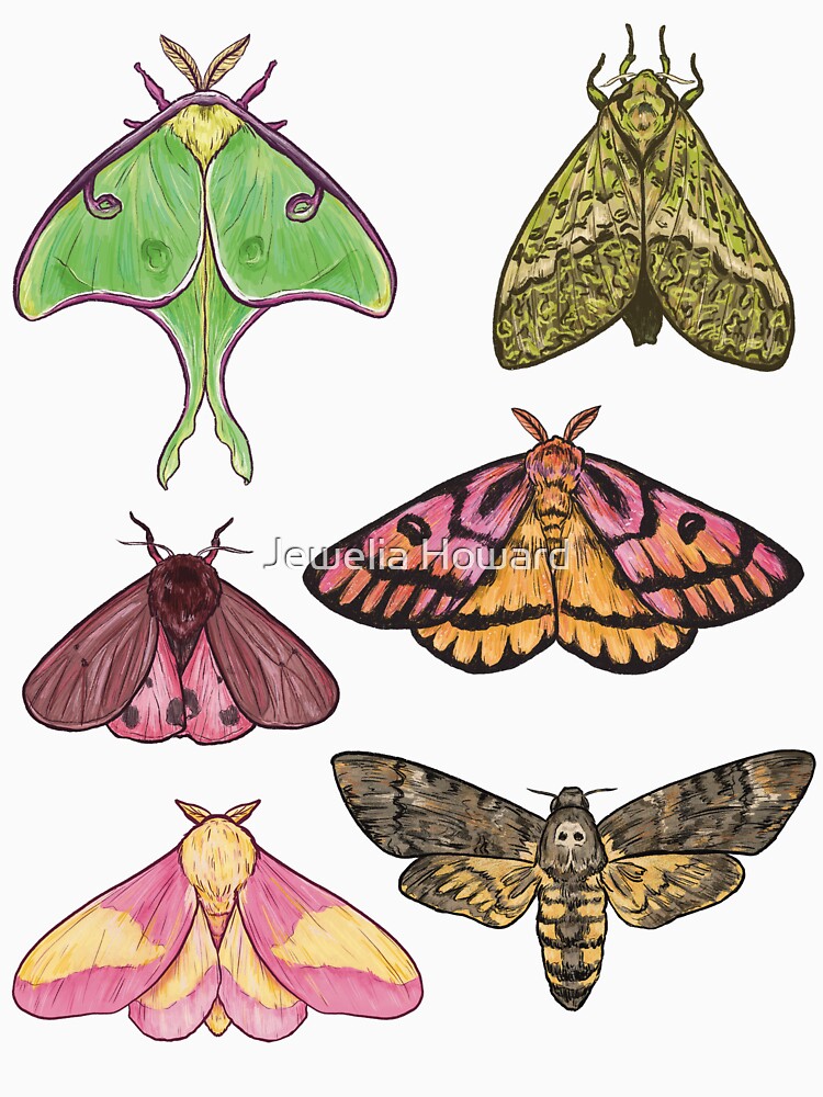 Moths by Jewelia Howard