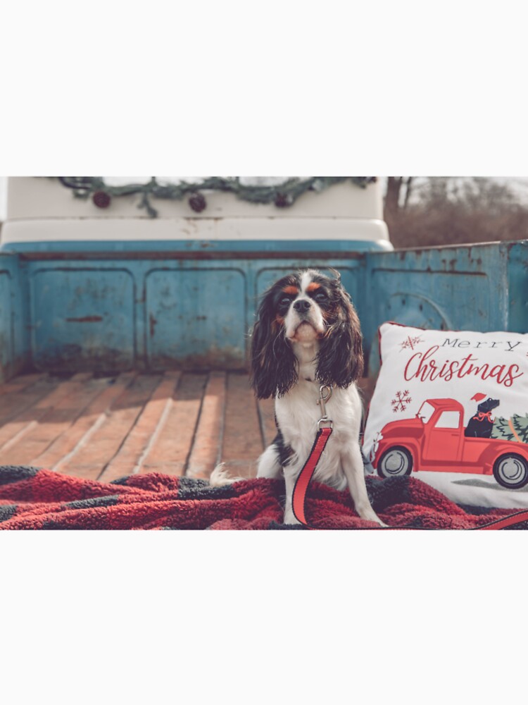 Happy Howlidays by Stacey Milliken